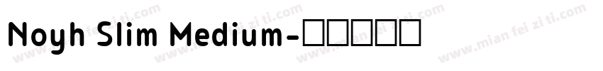 Noyh Slim Medium字体转换